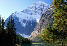 穆古鲁扎迎来五赛季高光表现，美国队球迷沸腾！